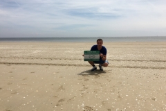 Publicité au bord de l'océan